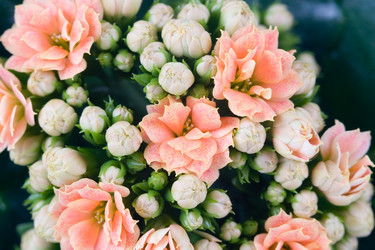 Similar image 634703