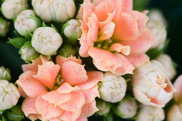 Similar image 634704