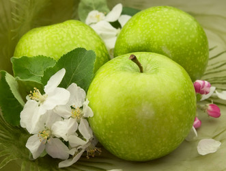 Similar image 634747