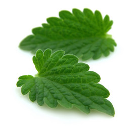 Similar image 634768