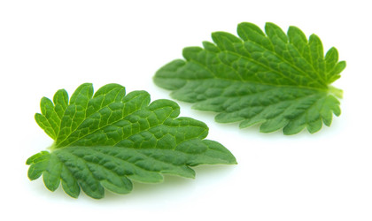 Similar image 634769