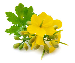 Similar image 634770