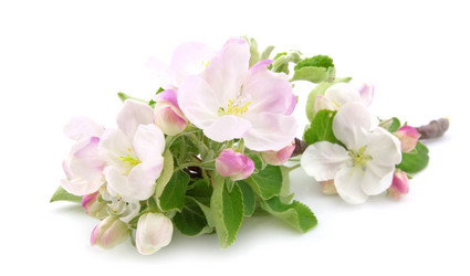 Similar image 634771