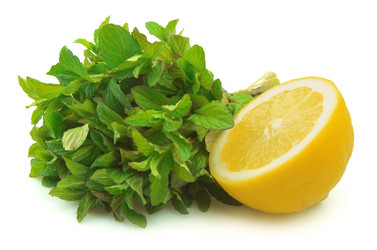 Similar image 634779