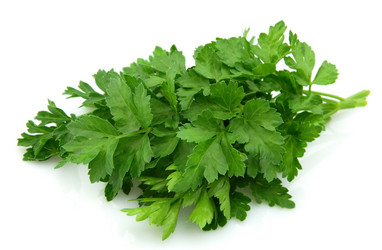 Similar image 634786