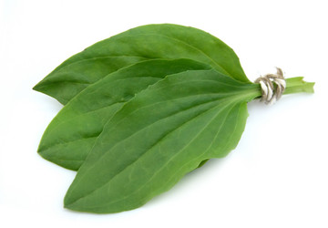 Similar image 634789