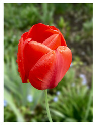 Similar image 634810