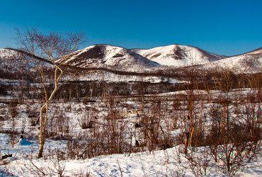 Similar image 634827