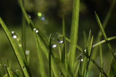 Similar image 634839