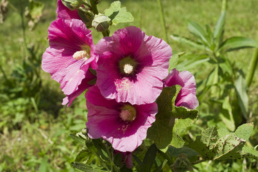 Similar image 634843