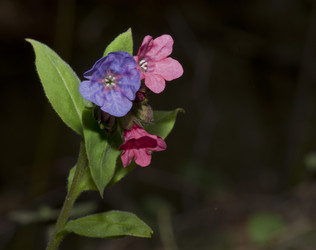 Similar image 634849