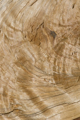 Similar image 634854