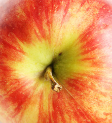 Similar image 634903