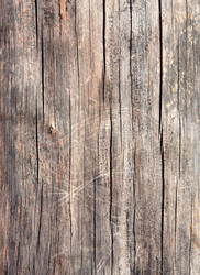 Similar image 634914