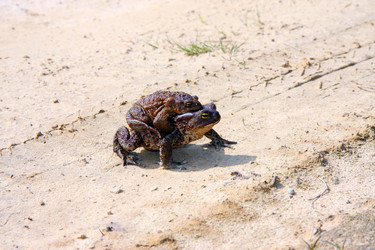 Similar image 634986