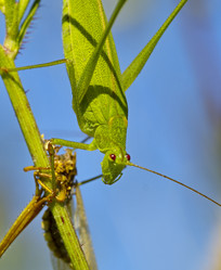 Similar image 634993