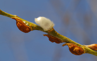 Similar image 634998