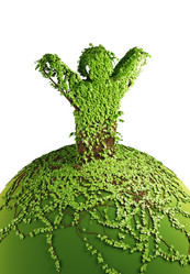 Similar image 635025