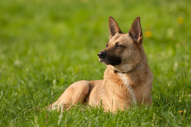 Similar image 635050