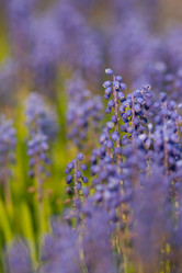 Similar image 635052