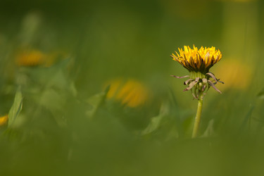 Similar image 635053