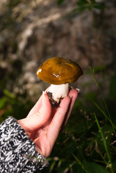 Similar image 635192