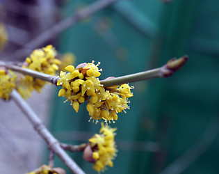 Similar image 635193