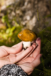 Similar image 635194