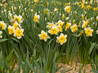 Similar image 635225