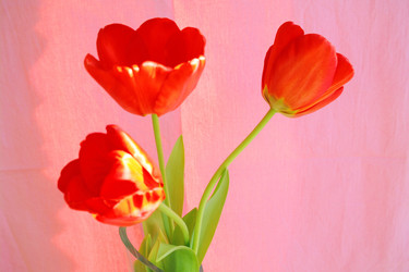 Similar image 635264