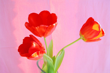 Similar image 635266