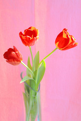 Similar image 635270