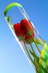 Similar image 635272