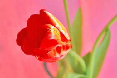 Similar image 635273