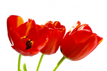 Similar image 635274