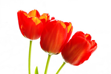 Similar image 635275