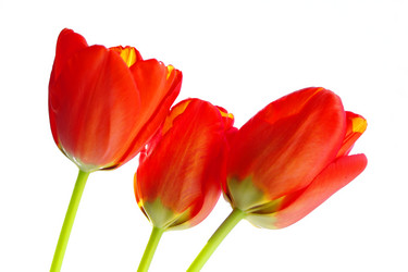 Similar image 635277