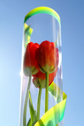 Similar image 635278