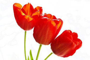 Similar image 635279