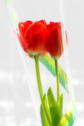 Similar image 635283