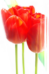 Similar image 635284