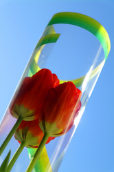 Similar image 635287