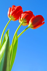 Similar image 635290