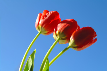 Similar image 635292