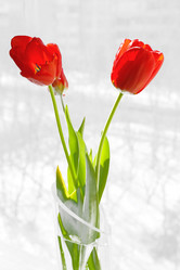 Similar image 635296