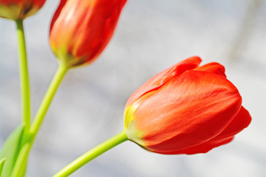 Similar image 635300