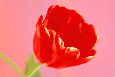 Similar image 635302