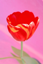 Similar image 635304