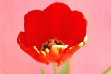 Similar image 635306