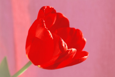 Similar image 635307